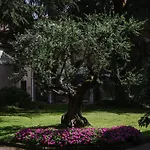Otel Centro Paolo Vi